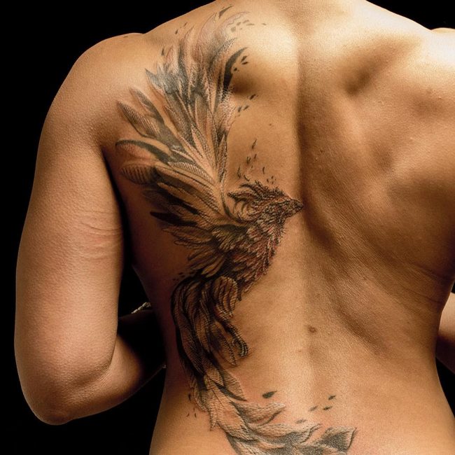 bird half back tattoo for men