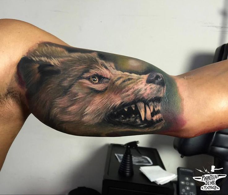 detailed wolf face inner bicep tattoo for men