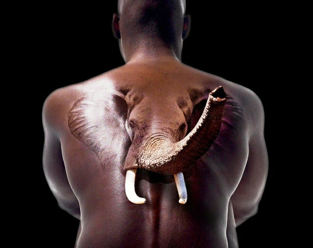 elephant back tattoo for men