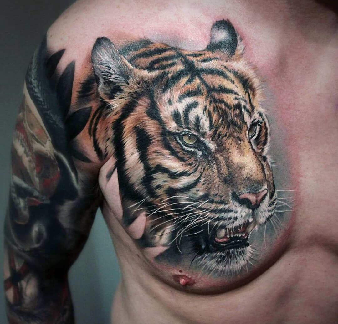 Tiger-face-chest