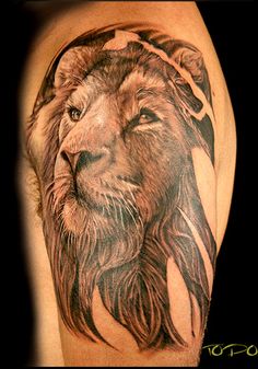 lion shoulder tattoo design