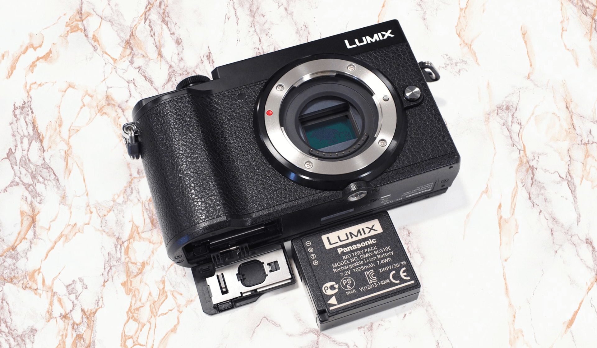 Panasonic Lumix GX9 Camera