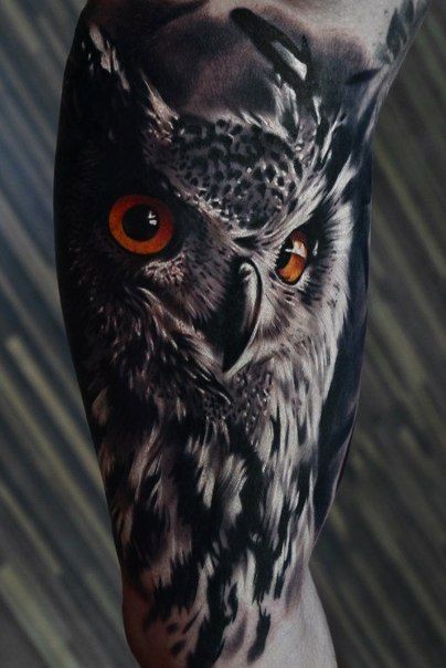 colored owl bust tatoo for men's arms