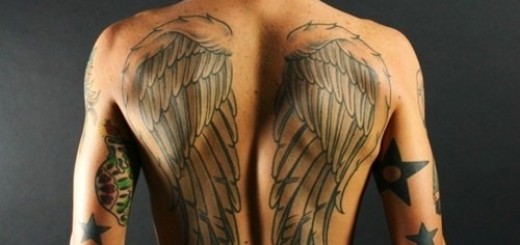 crested wings tattoo for men