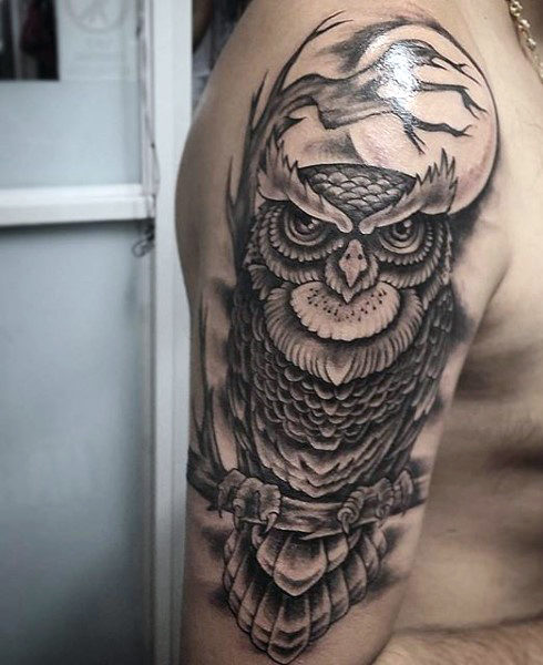 owl on brach with moon men's arm tattoo