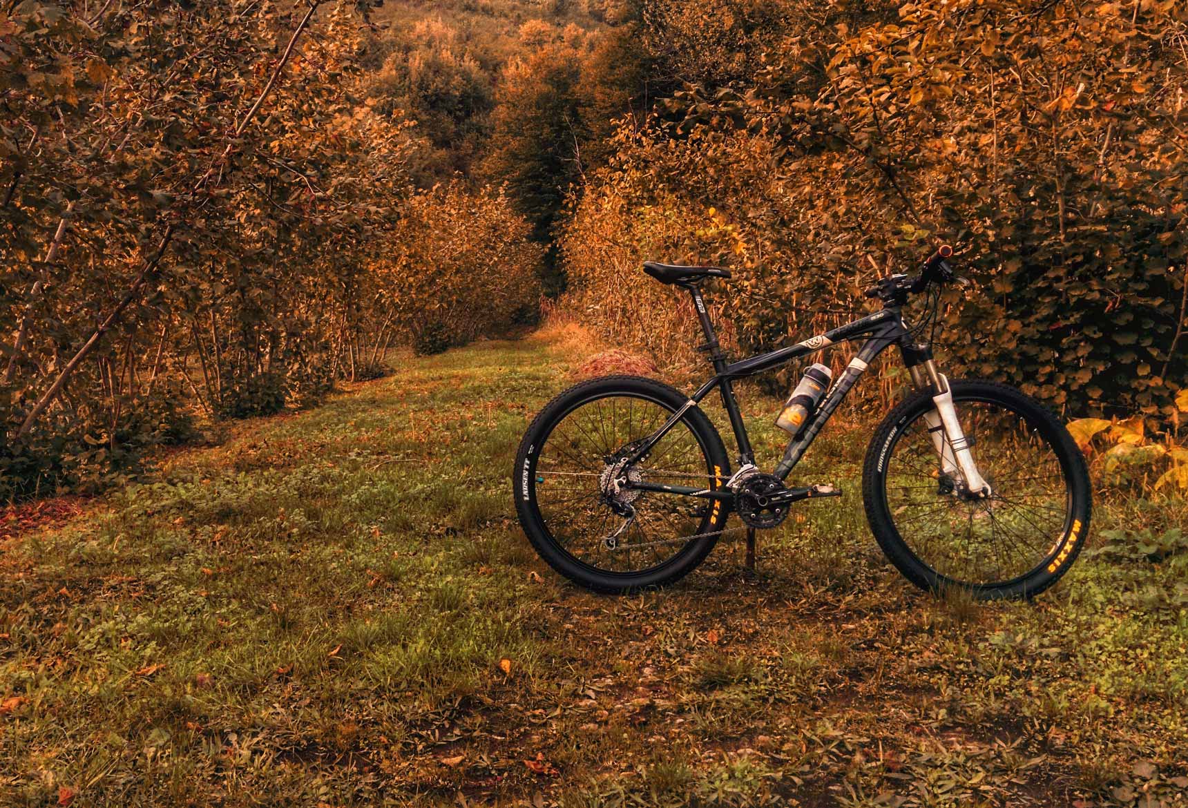 Us best bike. Велоосень. Осень октябрь горный велосипед. Обои на рабочий стол горный велосипед. MTB коричневый цвет.