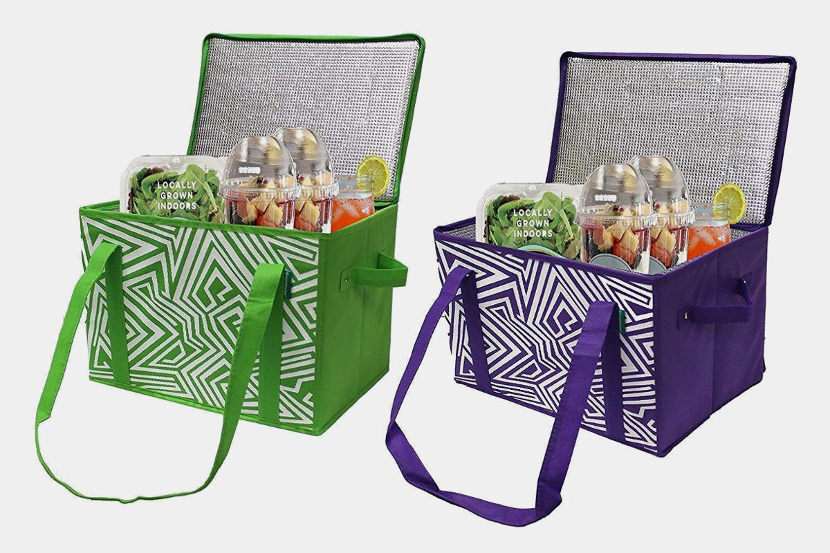 Earthwise Insulated Reusable Food Bags