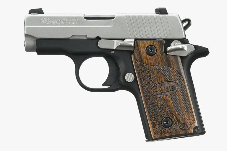 The 8 Best .380 pistols Improb