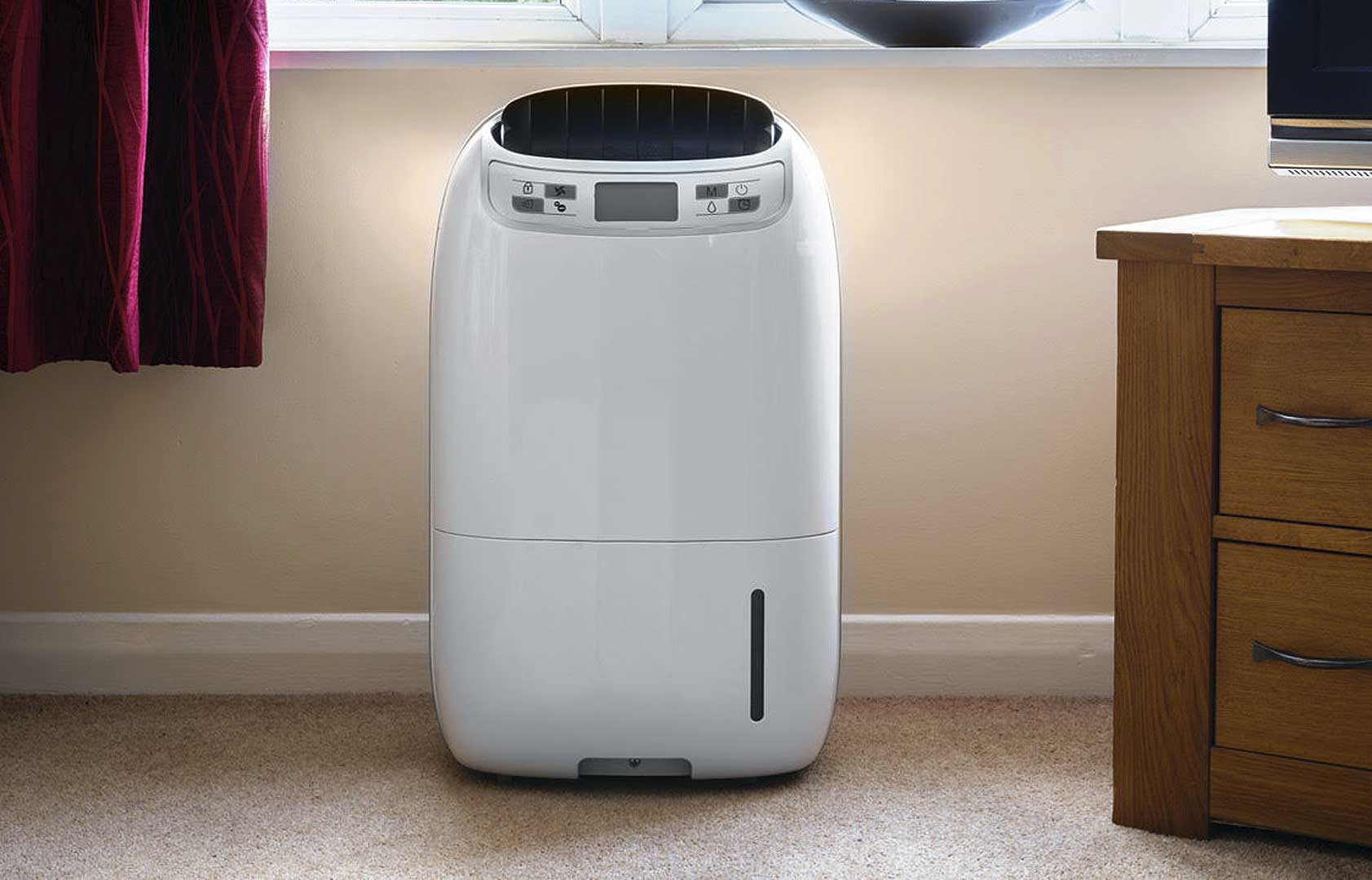 Best Small Dehumidifier For Living Room
