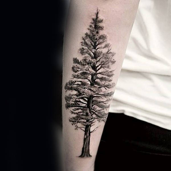 Very Detailed Tree Tattoo Along Your Forearm