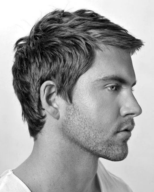 Short Hairstyle Idea for Men with Slightly Wavy Hair