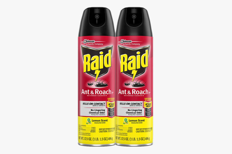 The 15 Best Roach Killers Improb