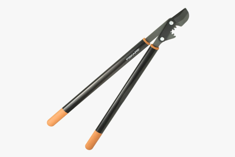 The 10 Best Loppers Improb
