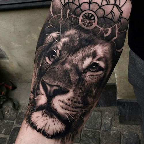 Enlarged Forearm Piece of a Lion's Face