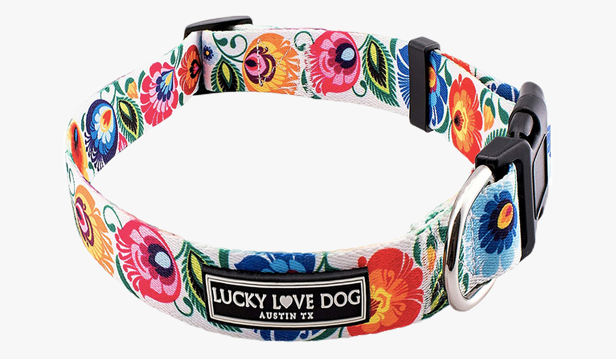 lucky love dog collar