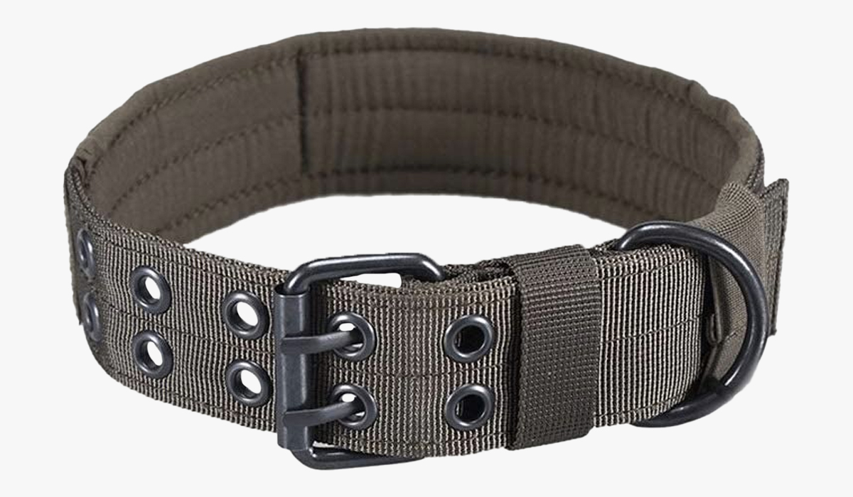 onetigris military adjustable dog collar