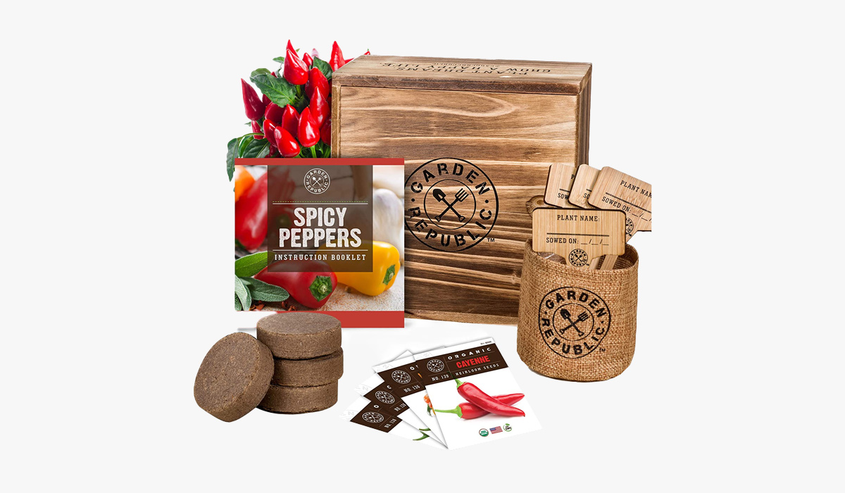 garden republic indoor pepper seed starter kit