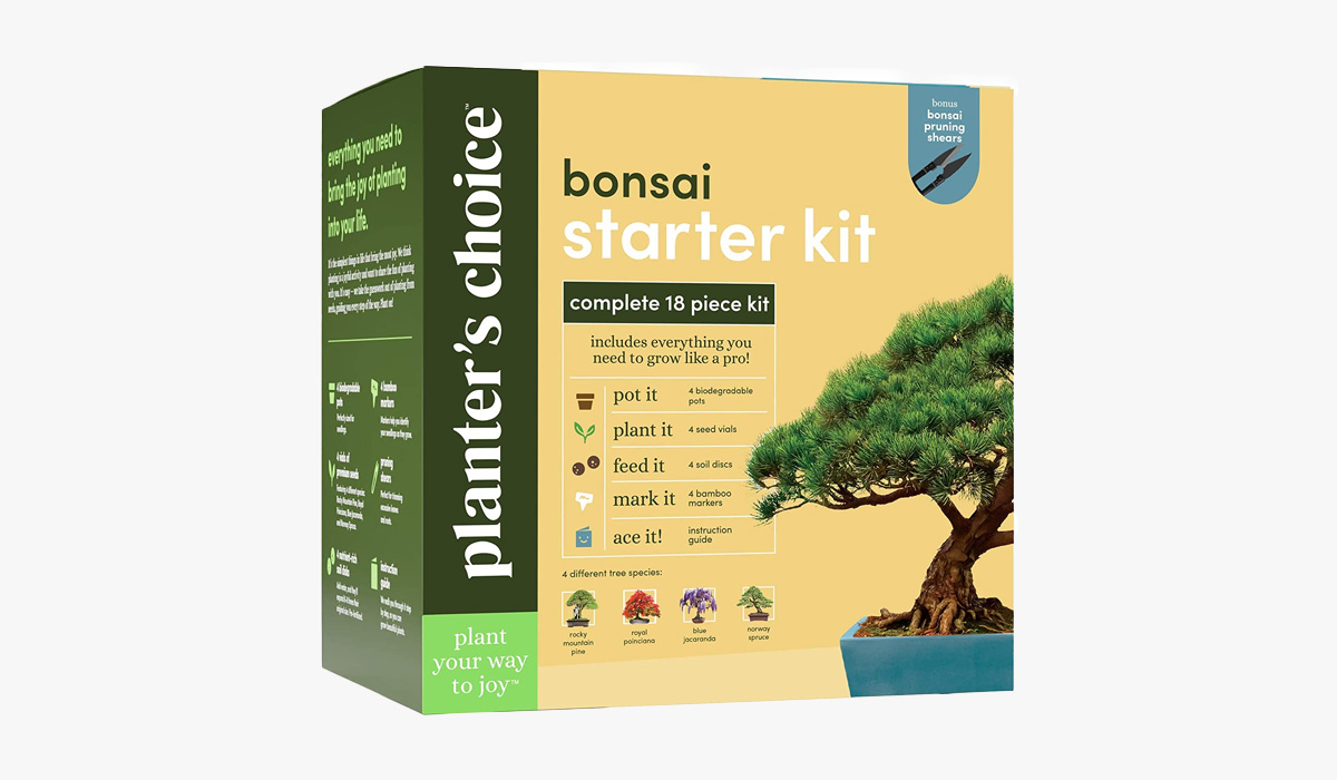 planter’s choice bonsai starter kit