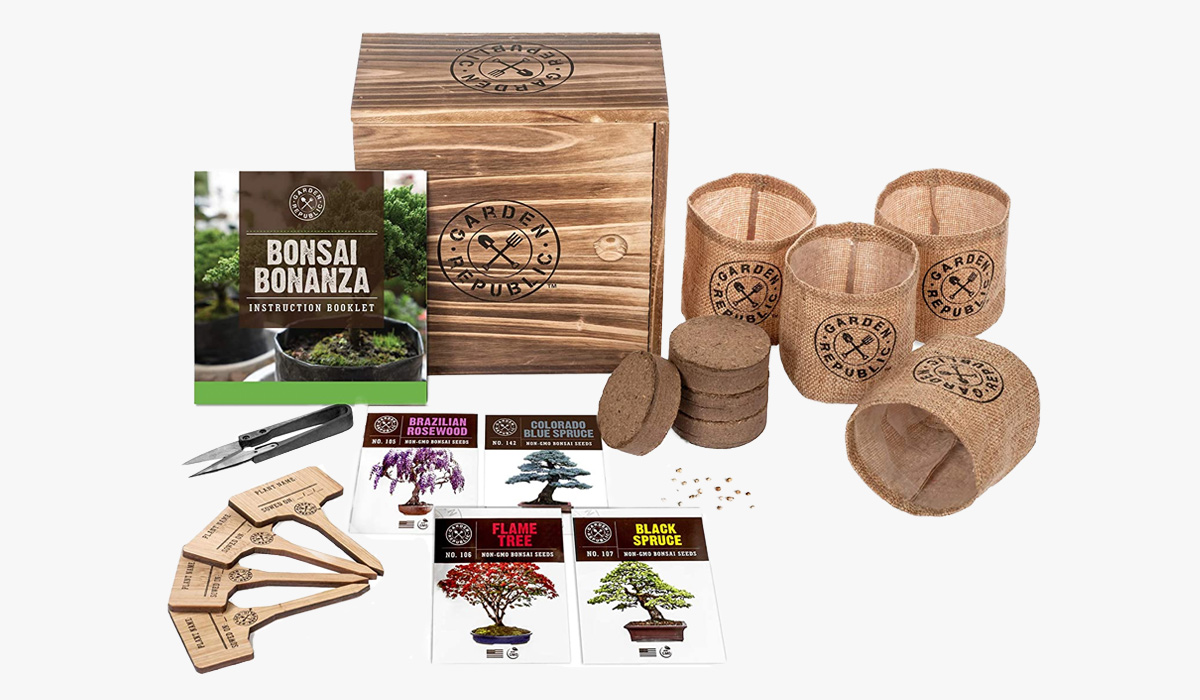 garden republic bonsai tree seed starter kit - cool gifts for men