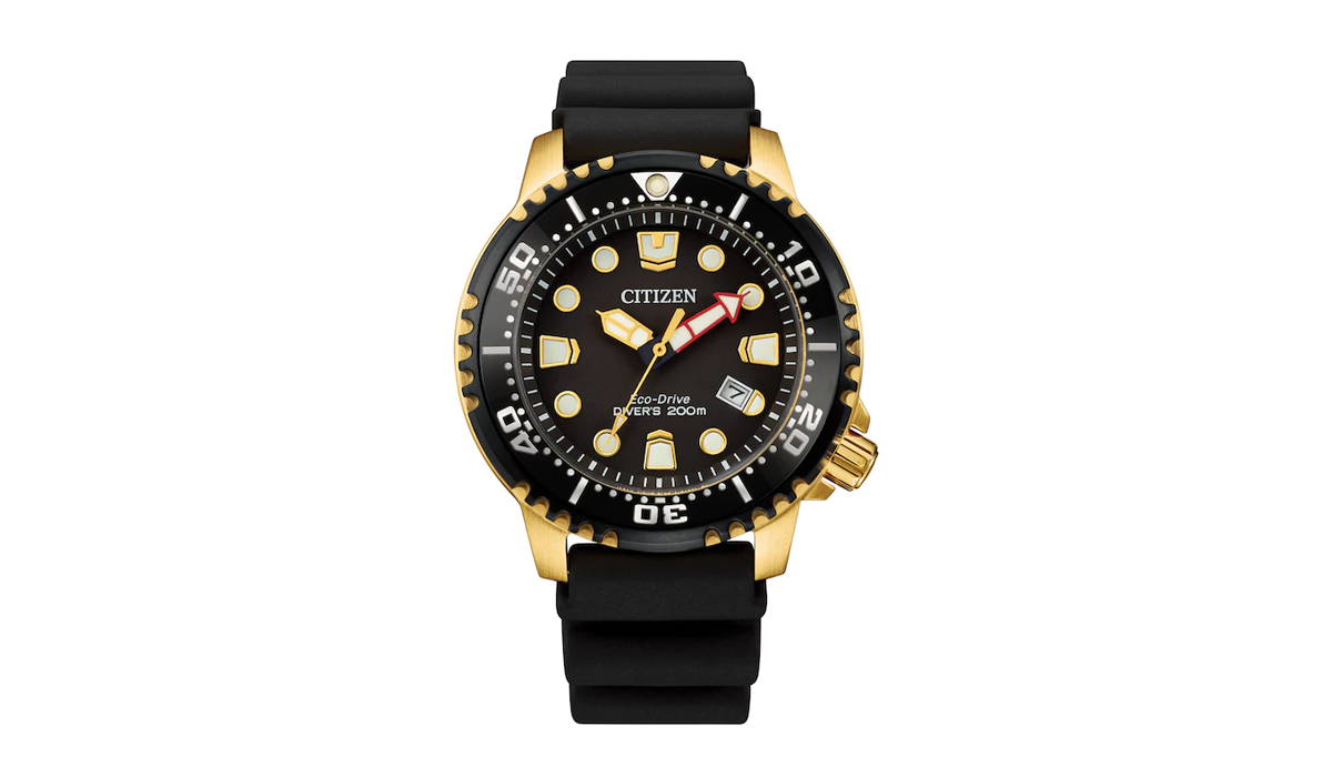 promaster diver men's watch bn0152-06e